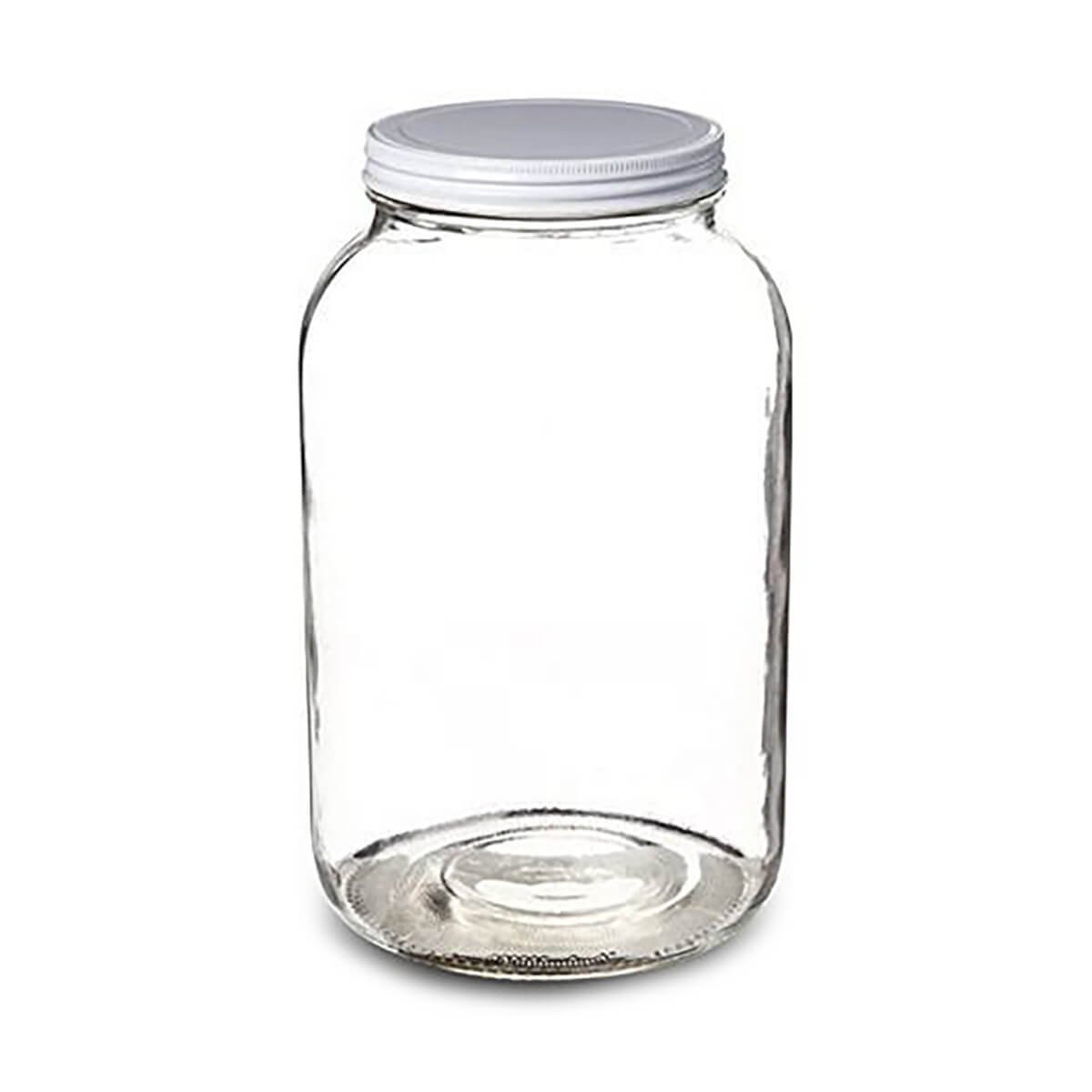 WS - One Gallon Glass Jar - EMPTY